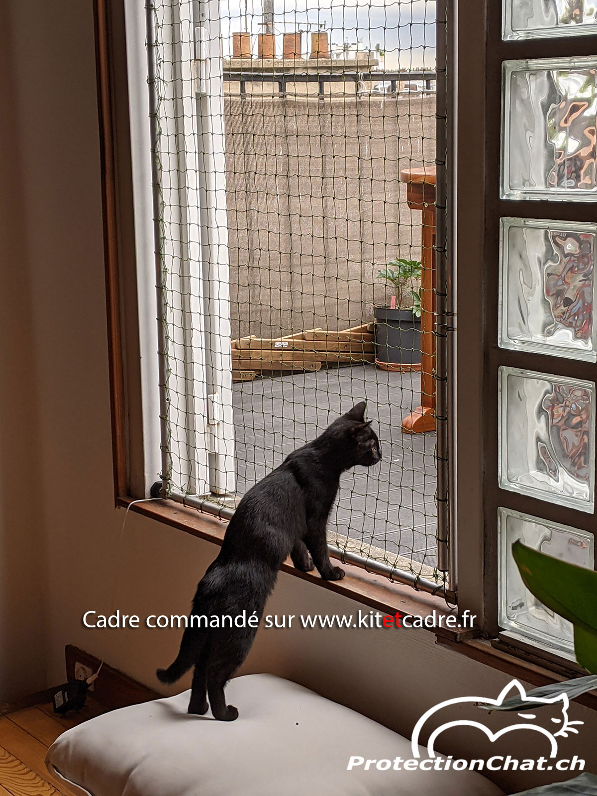 Filet de protection pour chat pour fenêtre • PROTECTION CHAT, Filet de  sécurité pour chats, Sans percer, Devis gratuit, Genève, Lausanne