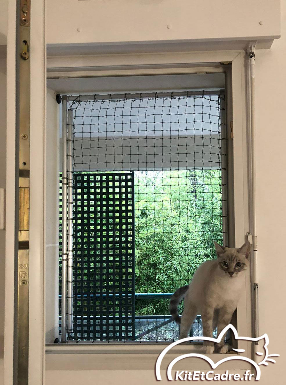 Fenêtres sécurisées Kit et Cadre